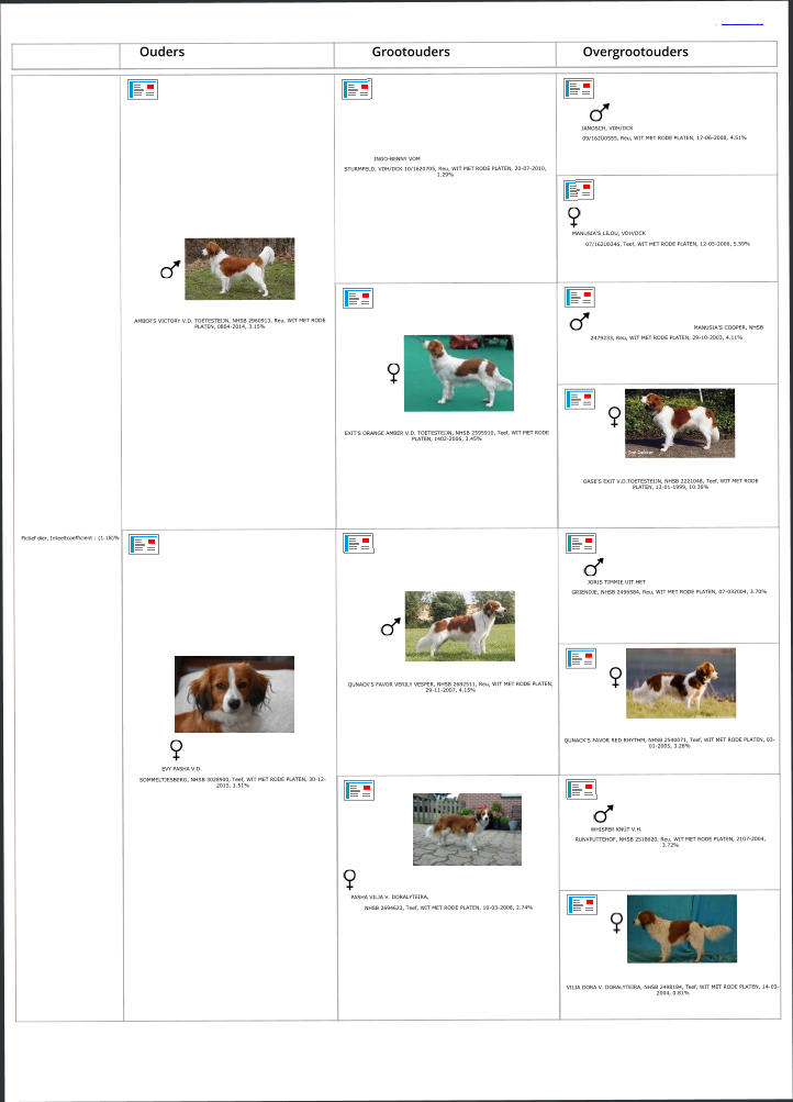 Fictief dier, Inteeltcoefficient : (1.18)% AMBER'S VICTORY V.D. TOETESTEIJN, NHSB 2960913, Reu, WIT MET RODE PLATEN, 0804-2014, 3.15%     INGO-BENNY VOM  STURMFELD, VDH/DCK 10/1620705, Reu, WIT MET RODE PLATEN, 20-07-2010, 1.29%      JANOSCH, VDH/DCK  09/162Ü0555, Reu, WIT MET RODE PLATEN, 17-06-2008, 4.51%    MANUSIA'S LILOU, VDH/DCK  07/162Ü0246, Teef, WIT MET RODE PLATEN, 12-05-2006, 5.59% EXIT'S ORANGE AMBER V.D. TOETESTEIJN, NHSB 2595910, Teef, WIT MET RODE PLATEN, 1402-2006, 3.45% MANUSIA'S COOPER, NHSB  2479233, Reu, WIT MET RODE PLATEN, 29-10-2003, 4.11% OASE'S EXIT V.D.TOETESTEIJN, NHSB 2221048, Teef, WIT MET RODE PLATEN, 13-01-1999, 10.36%  EVY PASHA V.D.  SOMMELTJESBERG, NHSB 3028900, Teef, WIT MET RODE PLATEN, 30-12-2015, 1.51% QUNACK'S FAVOR VERILY VESPER, NHSB 2682511, Reu, WIT MET RODE PLATEN, 29-11-2007, 4.15%    JORIS TIMMIE UIT HET  GRIENDJE, NHSB 2496584, Reu, WIT MET RODE PLATEN, 07-032004, 3.70% QUNACK'S FAVOR RED RHYTHM, NHSB 2540071, Teef, WIT MET RODE PLATEN, 03-01-2005, 3.28%  PASHA VILJA V. DORALYTEIRA,  NHSB 2694623, Teef, WIT MET RODE PLATEN, 10-03-2008, 2.74%      WHISPER KNÜT V.H.  RUNXPUTTEHOF, NHSB 2518620, Reu, WIT MET RODE PLATEN, 2107-2004, 3.72% VILJA DORA V. DORALYTEIRA, NHSB 2498184, Teef, WIT MET RODE PLATEN, 14-03-2004, 0.81%      Ouders 					Grootouders 				 Overgrootouders